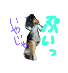 vigor（個別スタンプ：5）