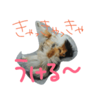 vigor（個別スタンプ：7）