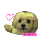 可愛いメリーちゃん（個別スタンプ：1）