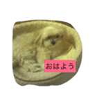 可愛いメリーちゃん（個別スタンプ：6）