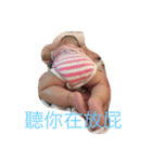 Niu baby（個別スタンプ：5）