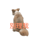 3son:ouah！ouah！（個別スタンプ：4）