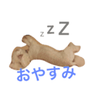 こじろうスタンプ！（個別スタンプ：3）