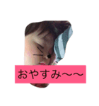 rionasutanp（個別スタンプ：2）
