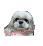 ラブリー リン 2（個別スタンプ：2）