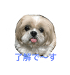ラブリー リン 2（個別スタンプ：7）