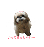 ラブリー リン 2（個別スタンプ：11）