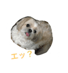 ラブリー リン 2（個別スタンプ：12）