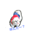 ラブリー リン 2（個別スタンプ：14）