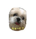 ラブリー リン 2（個別スタンプ：15）