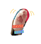 にゃんこですし（個別スタンプ：9）