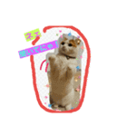にゃんこですし（個別スタンプ：14）