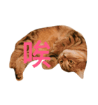 neko says（個別スタンプ：14）
