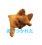 まるさんかくしーかく（個別スタンプ：3）
