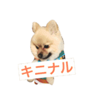 まるさんかくしーかく（個別スタンプ：5）