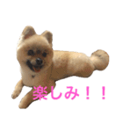 まるさんかくしーかく（個別スタンプ：16）