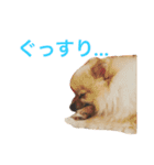 まるさんかくしーかく（個別スタンプ：20）