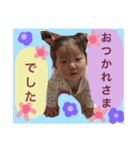 あんな2017（個別スタンプ：1）