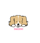 takezo（個別スタンプ：1）