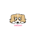 takezo（個別スタンプ：4）