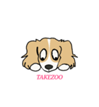takezo（個別スタンプ：5）