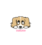 takezo（個別スタンプ：6）