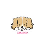 takezo（個別スタンプ：8）