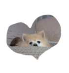 大好きヨーイU^ェ^U（個別スタンプ：3）