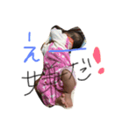 ここみんの可愛いすぎるスタンプ（個別スタンプ：1）