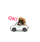 syokora and sometimes friends 02（個別スタンプ：1）