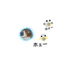 syokora and sometimes friends 02（個別スタンプ：15）