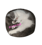 Everyday Mel 2（個別スタンプ：7）