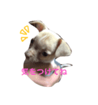 びびりのビビ君（個別スタンプ：8）