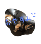 かわいい(^^)（個別スタンプ：2）