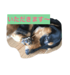 かわいい(^^)（個別スタンプ：5）