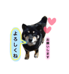 ロックのスタンプ（個別スタンプ：2）