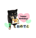 ロックのスタンプ（個別スタンプ：3）