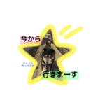 ロックのスタンプ（個別スタンプ：4）