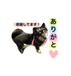 ロックのスタンプ（個別スタンプ：5）