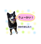 ロックのスタンプ（個別スタンプ：7）