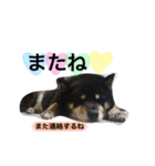 ロックのスタンプ（個別スタンプ：9）