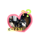 ロックのスタンプ（個別スタンプ：23）