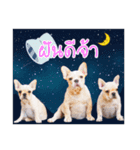 MUANGCHAIROTT（個別スタンプ：16）