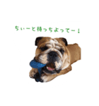 ぶるぶる日和4（個別スタンプ：4）
