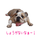 ぶるぶる日和4（個別スタンプ：5）