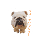 ぶるぶる日和4（個別スタンプ：8）