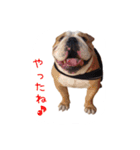 ぶるぶる日和4（個別スタンプ：9）