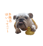 ぶるぶる日和4（個別スタンプ：11）