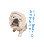 ぶるぶる日和4（個別スタンプ：12）
