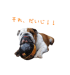 ぶるぶる日和4（個別スタンプ：14）